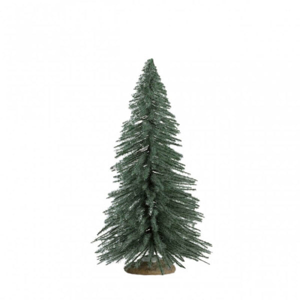 Spruce Tree Medium